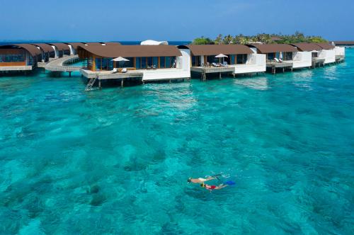 Полюбуйтесь миграцией скатов в The Westin Maldives Miriandhoo Resort
