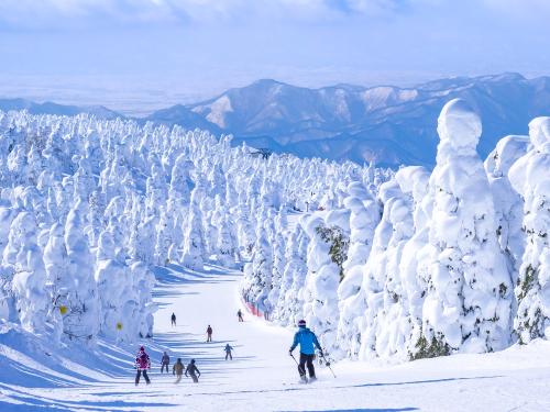 Что важно знать, планируя лыжный отпуск 2025 в Японии