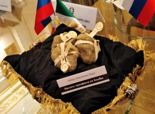 В Москве пройдет благотворительный аукцион по продаже белых трюфелей из Пьемонта  