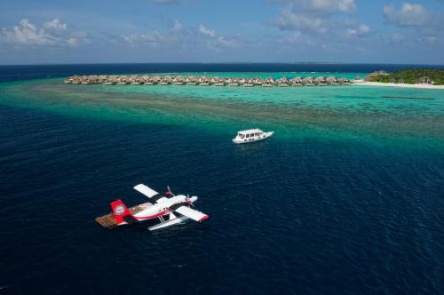 Faarufushi Maldives: как поймать тунца