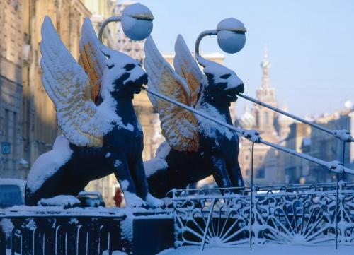 Новогодние каникулы - в зимнем Петербурге