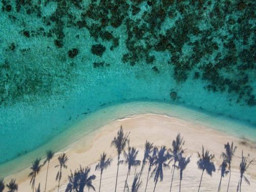 Milaidhoo Island Maldives: назовите коралл именем своего будущего малыша
