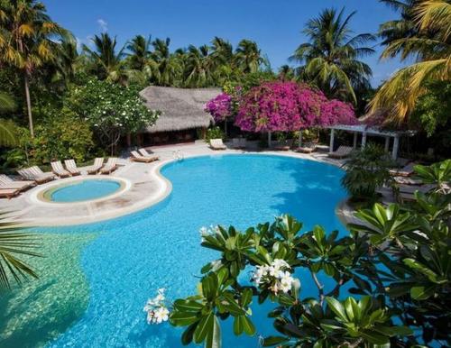 На трех мальдивских курортах приостановили карантин
