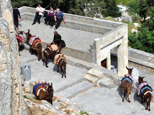 Греческий премьер предложил безопасный туристический коридор