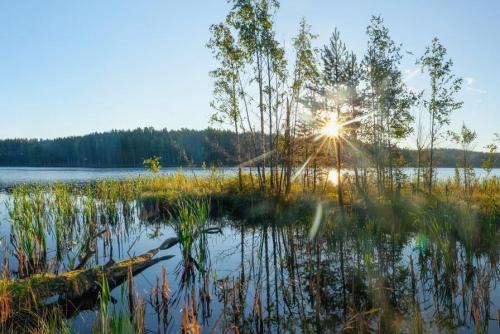 В Ленингрдской области создадут 96 особо охраняемых природных зон