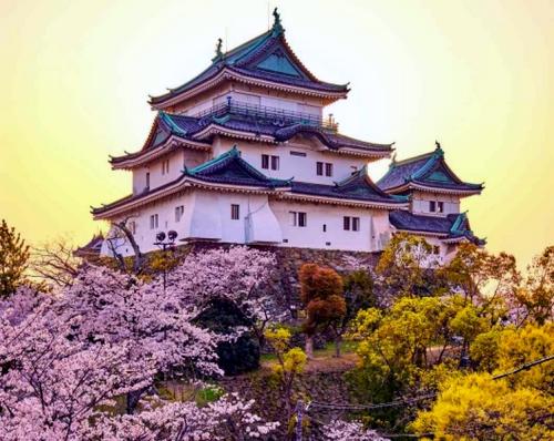 Замок Вакаяма – японская классика 