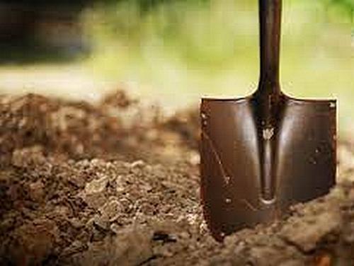 В саду Лимасола откопали трупы двух гражданок России