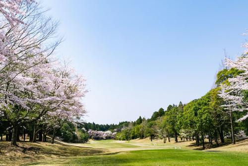 Гольф в Японии: страна занимает второе место в мире по количеству гольф-полей