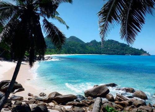 Вы давно мечтали попасть на Сейшельские острова?