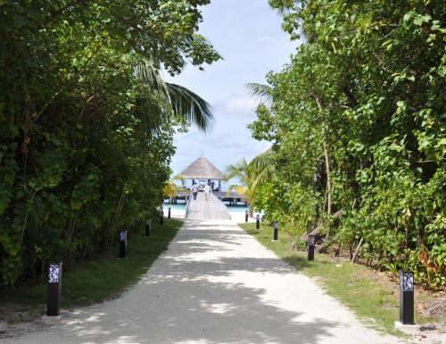 Мальдивы, возможно, разрешат въезд без ПЦР-теста гостям, у которых будет сделана прививка