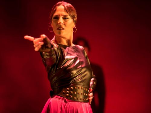 XX Международный фестиваль фламенко «¡Viva España!» стартует 13 ноября