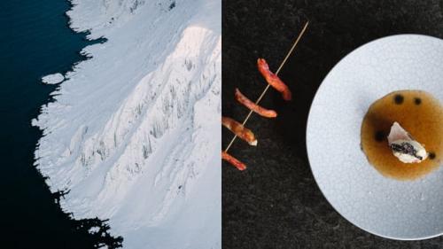 Всё, что вы хотели узнать об арктической кухне, но не решались спросить