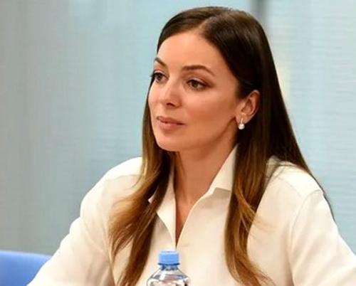 Зарина Догузова: «До конца года в Госдуму будет внесён новый Закон о туризме»