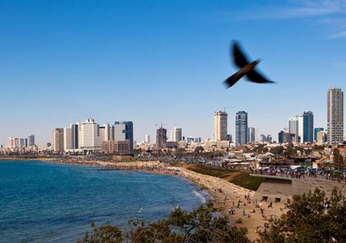Министерство туризма Израиля готовится к возвращению туристов в середине 2021 года