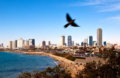 В Израиле вырос индекс чистоты пляжей до 77%