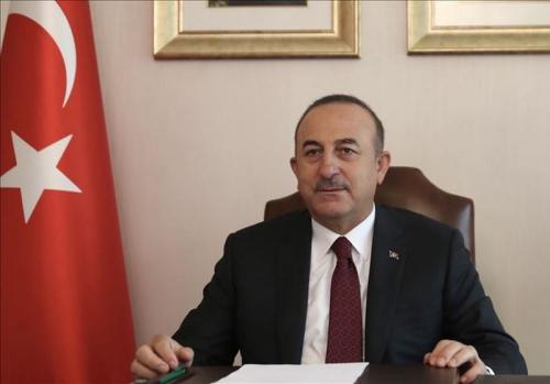 Мевлют Чавушоглу: «Турция признаёт все российские вакцины»