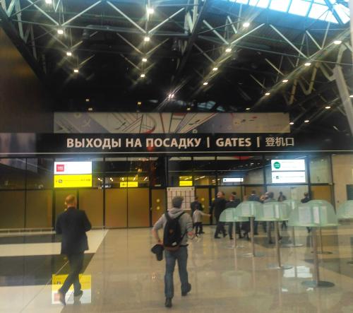 Из-за проверки документов на COVID-19 в аэропортах Москвы возникли огромные очереди