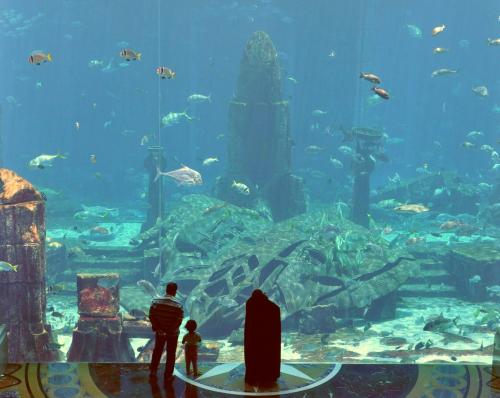 Atlantis, The Palm предлагает семьям одну бесплатную ночь и много необыкновенных впечатлений