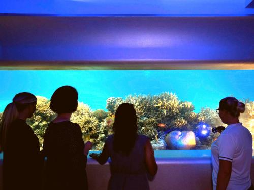 Курорт Huvafen Fushi представляет развлекательно-образовательную экскурсию SpaQuarium