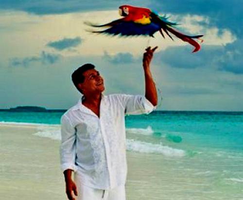 Первые 150 тысяч рублей принёс мальдивский благотворительный проект портала «Вести Туризм»