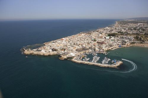 Порт города, не покорившегося Наполеону, будет реконструирован