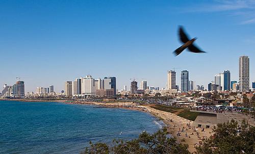 Главный аэропорт Израиля Бен-Гурион в 2023 году введет в работу новые цифровые технологии
