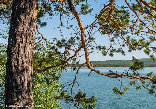 Нормы воздействия на экологическую систему озера Байкал следует не смягчить, а ужесточить