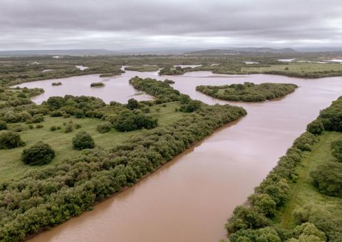 «Лиман реки Раздольная» в Приморье не разрешили ликвидировать ради создания туркластера