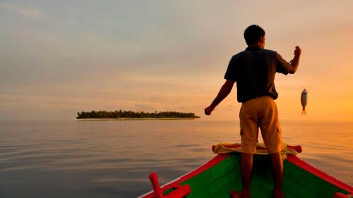 Мальдивские Angsana и Banyan Tree Vabbinfaru зовут поохотиться на большую рыбу