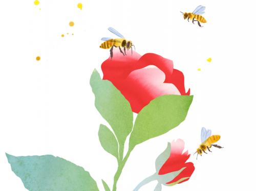 Медовые истории в Google Arts & Culture: 20 мая – Всемирный день пчёл