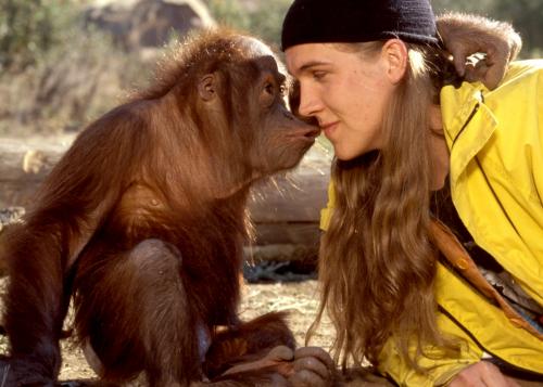 ВОЗ предупреждает туристов: обезьянья оспа передаётся не только через контакт с обезьяной