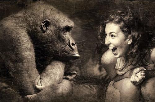 Роспотребнадзор: «Избегайте контактов с приматами! А заодно и с грызунами»