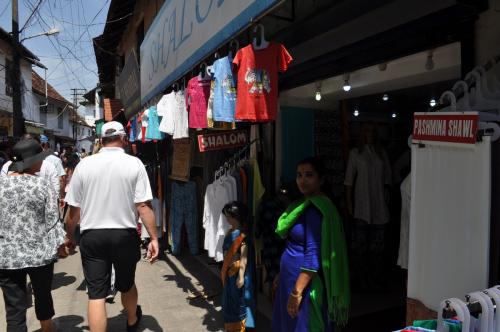 Электронная виза в Шри-Ланку теперь действует полгода