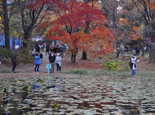 В Японию можно въехать по турпакету без сопровождения гида