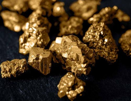 Россиянам предложат освоить профессию золотодобытчика