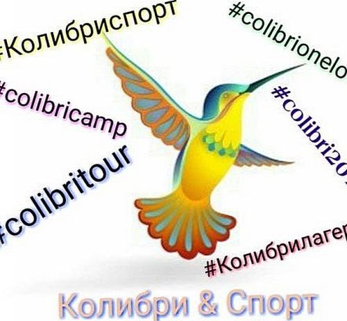 «Колибри-Тур» заплатит 5 миллионов рублей