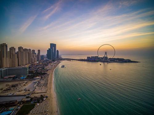 Dubai Reef: Дубай запускает один из крупнейших в мире проектов по созданию морских рифов