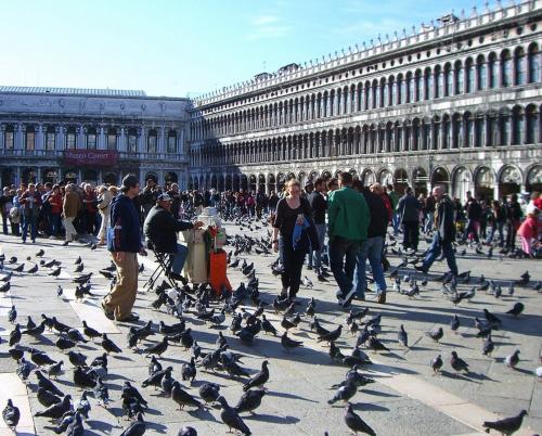 Турналог в Венеции введут весной 2024 года