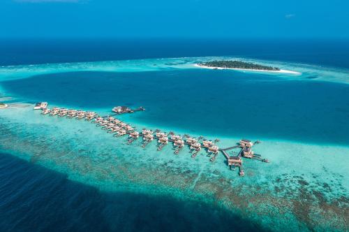Angsana Velavaru: океан романтики в сердце Мальдив