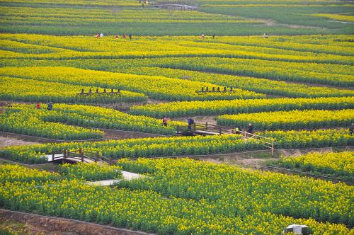 Провинция Цзянсу: Тайчжоу и Синхуа на вкус и на цвет