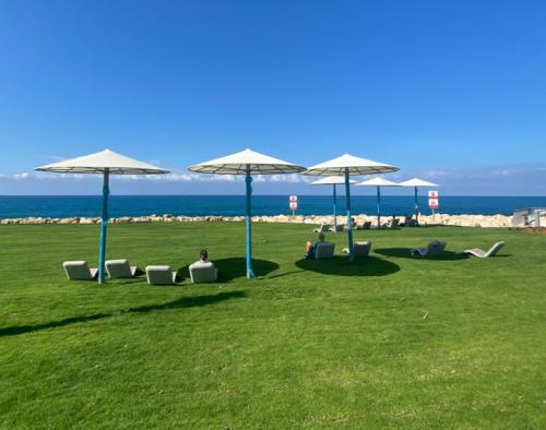 В Тель-Авиве завершается строительство нового пляжа, парка и центра водных видов спорта