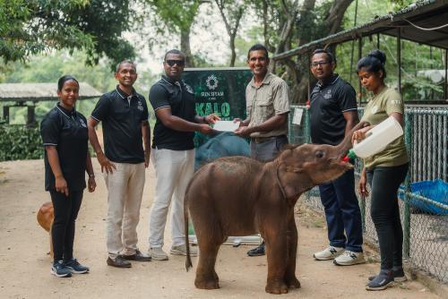Sun Siyam Pasikudah – первый отель на Шри-Ланке , проявляющий заботу о слонах