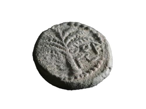 Редкая монета 132 года нашей эры обнаружена в Иудейской пустыне