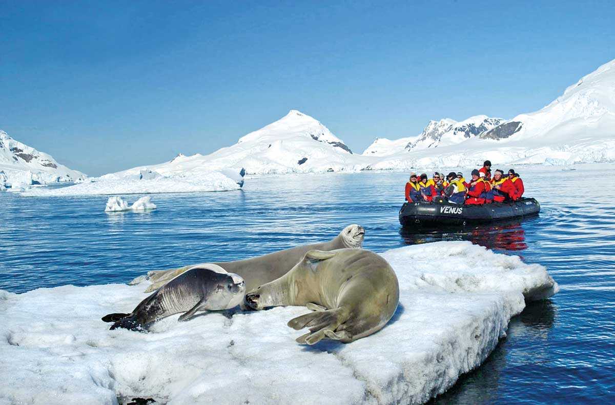 Экспедиция антарктика. Барнео Арктика. Северный полюс Арктика. Ушуайя Антарктида. Антарктида туризм.
