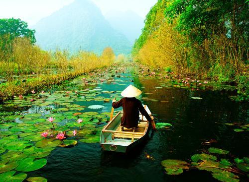 images/2022/Feb2022/11/1594128105-taste-of-vietnam.jpeg