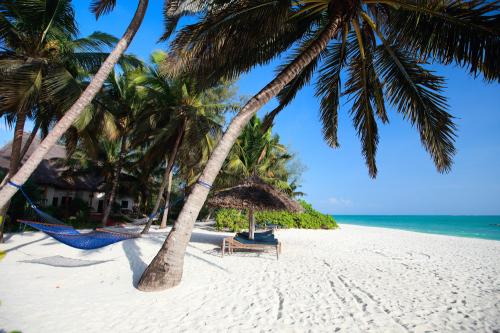 images/2023/jul2023/28/Landscape_of_tropical_beach_in_Zanzibar_Tanzania.jpg
