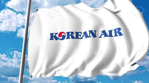 images/01112019/81827585-waving-flag-with-korean-air-logo-3d-rendering.jpg