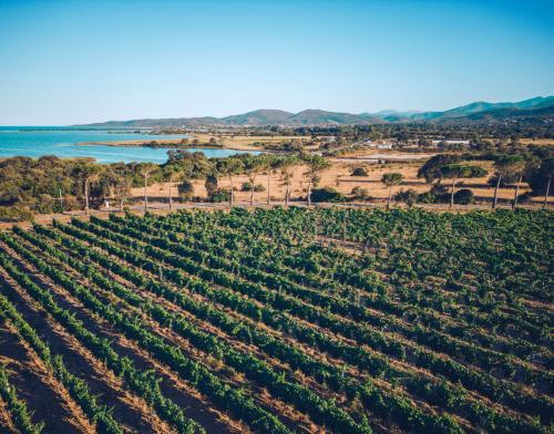 images/2022/Aug2022/25/wine_experience_Sardinia.jpg