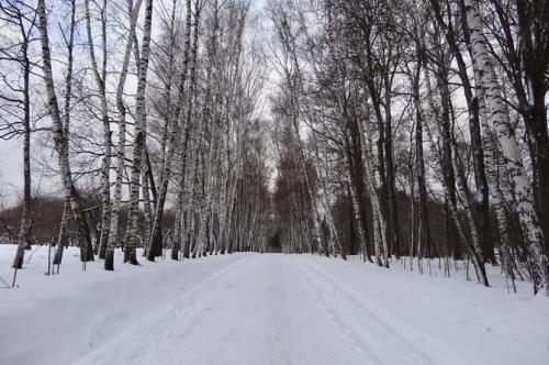 Призраки Ясной Поляны