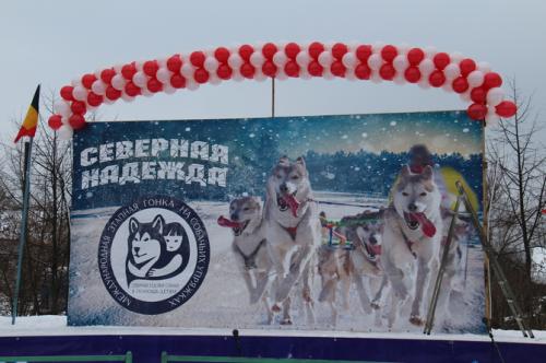 В Нее прошли гонки на собачьих упряжках «Северная надежда в пользу детей»